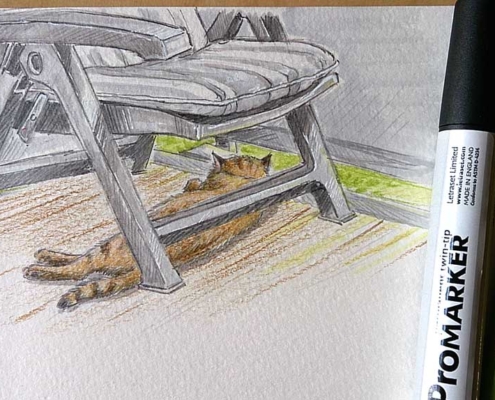 Siesta - Kater Hero beim Mittagsschlaf auf dem Balkon