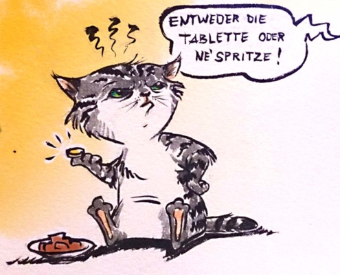 Kater und seine Medizin
