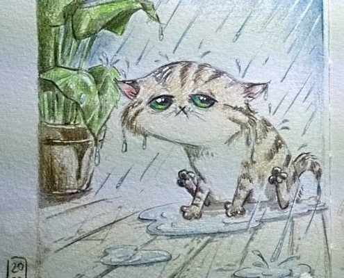 Nasse Katze - der Wolkenbruch war schneller