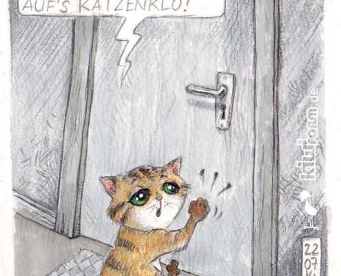 Eine Nacht im Hausflur - Freiheit für das Katerchen?