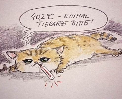 40,2 Grad - Einmal zum Tierarzt bitte
