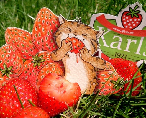 Erdbeeren satt bei Karl's Erdbeerhof in Rövershagen - Daily Illu Tag 28