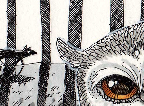 Wenn sich Fuchs und Eule Gute Nacht sagen - Daily Illustration Tag 56 - Ausschnitt